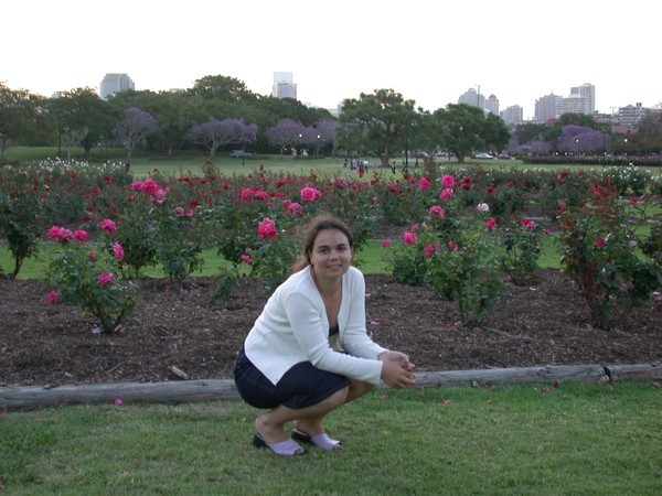 Rose Garden